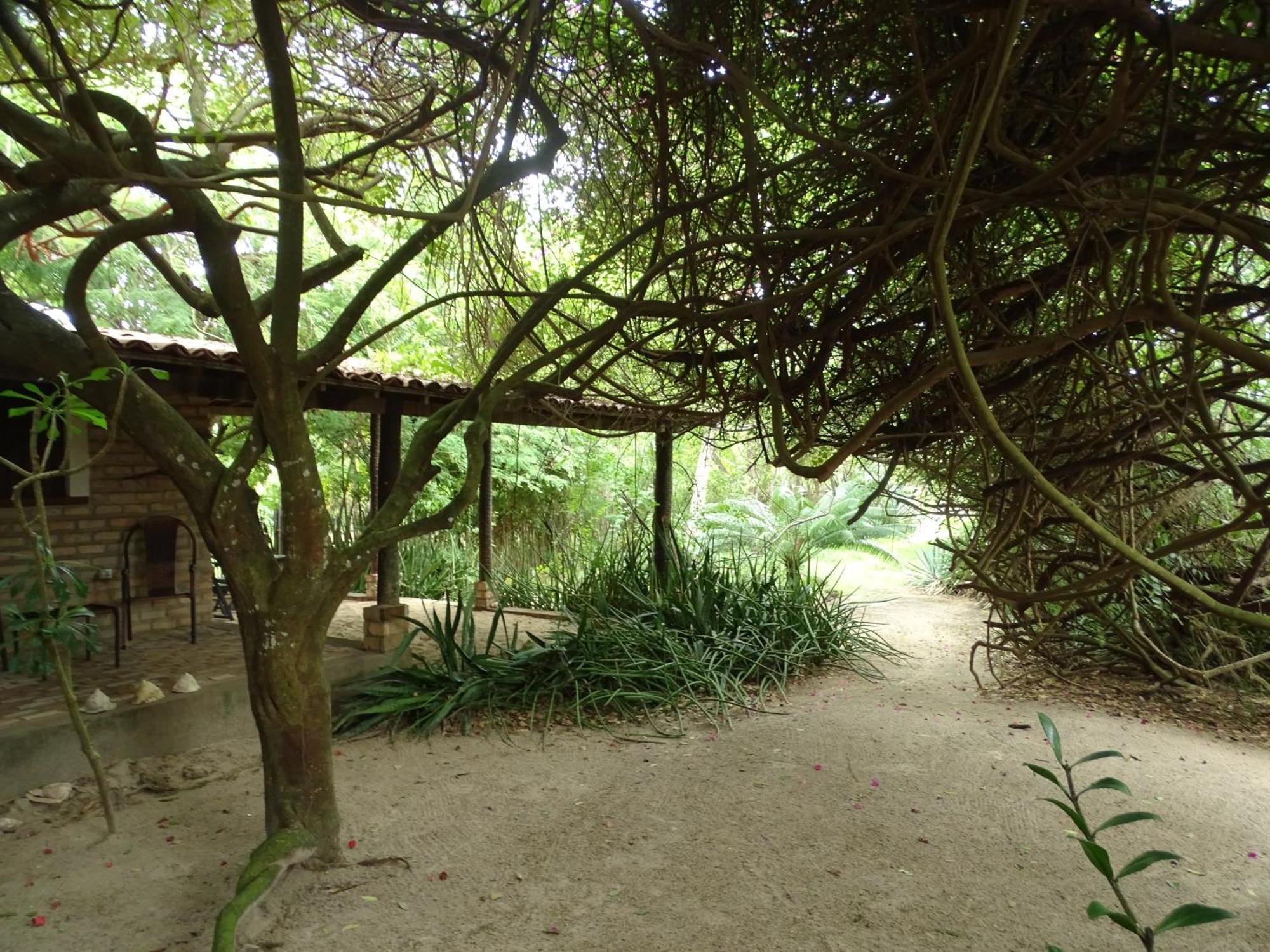 ホテル Jungle House サン・ミゲル・ド・ゴストーゾ エクステリア 写真