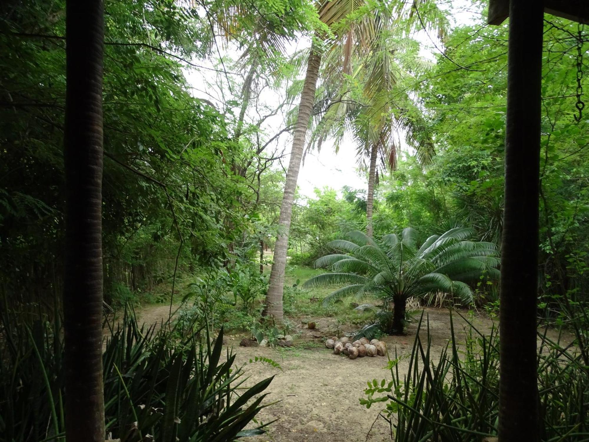 ホテル Jungle House サン・ミゲル・ド・ゴストーゾ エクステリア 写真